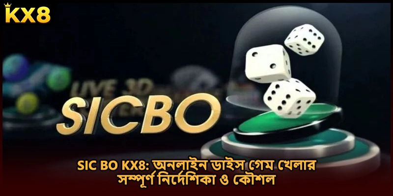Sic bo KX8: অনলাইন ডাইস গেম খেলার সম্পূর্ণ নির্দেশিকা ও কৌশল