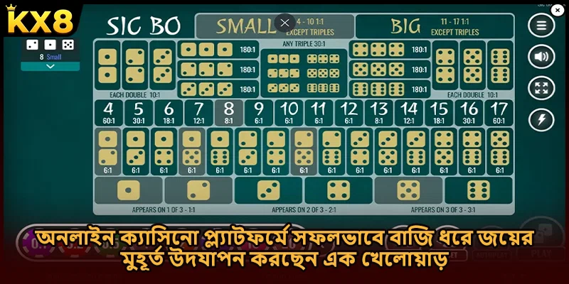 অনলাইন ক্যাসিনো প্ল্যাটফর্মে সফলভাবে বাজি ধরে জয়ের মুহূর্ত উদযাপন করছেন এক খেলোয়াড়